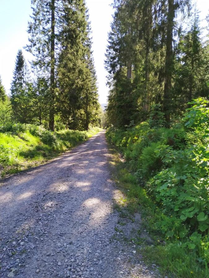 Ferienwohnung Feldberg - Residenz Grafenmatt Eksteriør billede