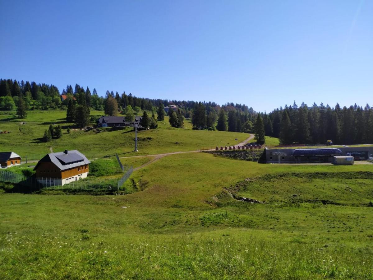 Ferienwohnung Feldberg - Residenz Grafenmatt Eksteriør billede