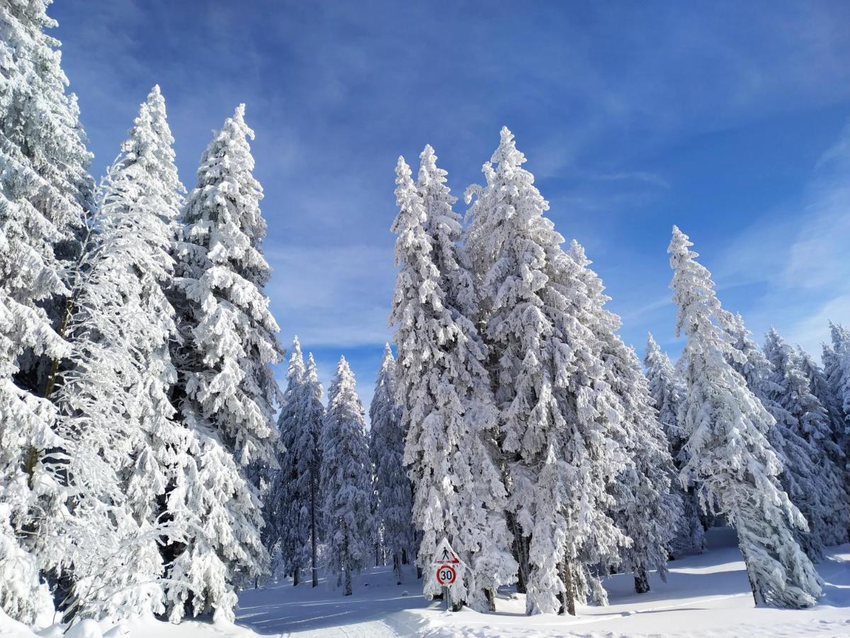 Ferienwohnung Feldberg - Residenz Grafenmatt Eksteriør billede