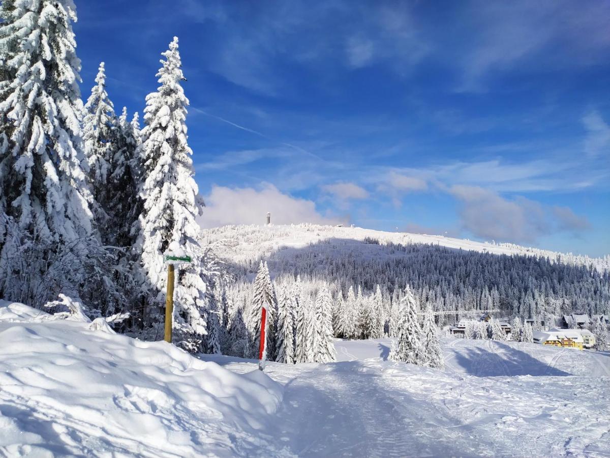 Ferienwohnung Feldberg - Residenz Grafenmatt Eksteriør billede