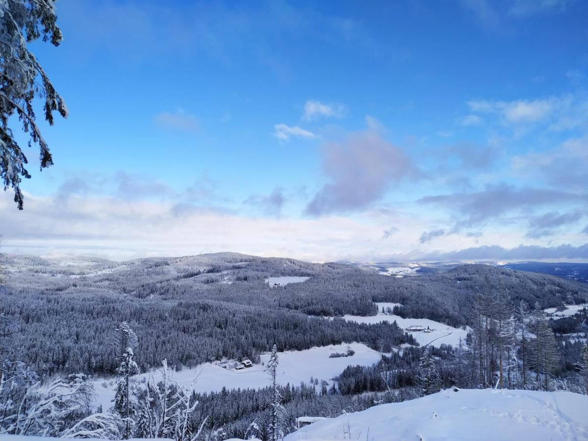 Ferienwohnung Feldberg - Residenz Grafenmatt Eksteriør billede